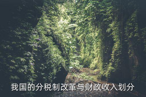 中國財(cái)政為什么會分權(quán)，西方的財(cái)政分權(quán)理論是否適合中國為什么