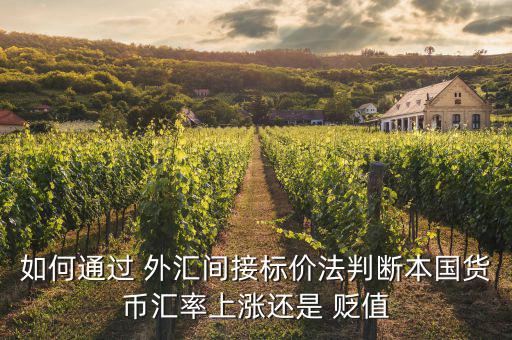 怎么算外匯升值貶值率,外匯局推出直接買入價(jià)和匯率對比圖表