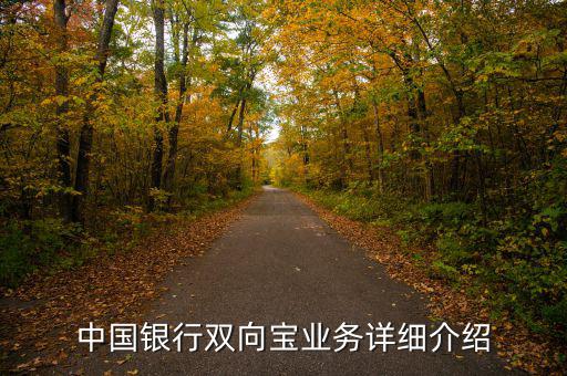 中行雙向?qū)毷鞘裁?，中國銀行雙向?qū)殬I(yè)務(wù)詳細介紹