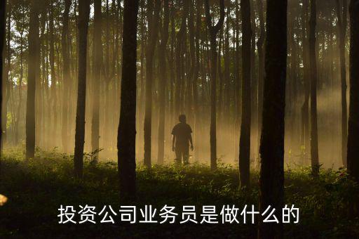 投資公司業(yè)務(wù)員是做什么的，投資公司業(yè)務(wù)員是做什么的