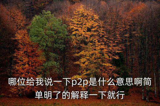 哪位給我說(shuō)一下p2p是什么意思啊簡(jiǎn)單明了的解釋一下就行