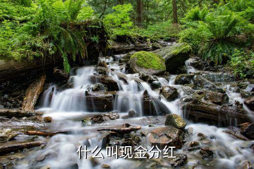 理財(cái)產(chǎn)品現(xiàn)金分紅是什么意思，現(xiàn)金分紅是什么意思