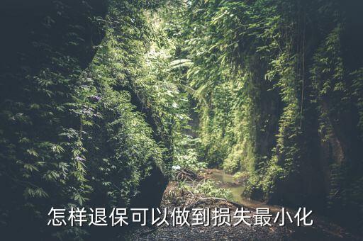 什么辦法能退保險不損失，退保怎樣能減少損失