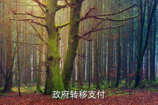為什么政府提供實物轉(zhuǎn)移支付，一個國家為什么要執(zhí)行轉(zhuǎn)移支付制度
