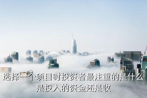 投資人最看重什么投資收益，投資者最看重的是什么呢