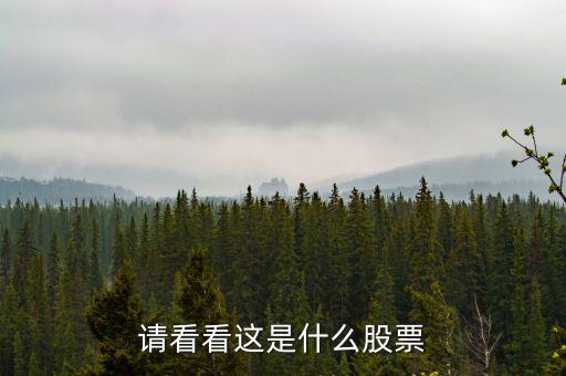 993961是什么股票，請看看這是什么股票