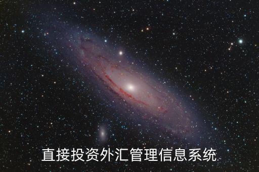 外資上什么傳到外管局應(yīng)用平臺，直接投資外匯管理信息系統(tǒng)