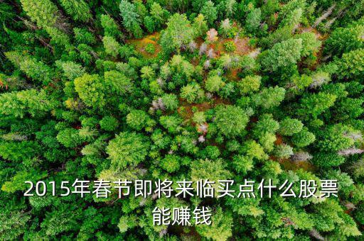 2015年閱兵前買什么股票好，2015年3月20日哪支股票比較好