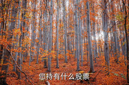 張正委持有什么的股票，香港中央代理人持有哪些股票