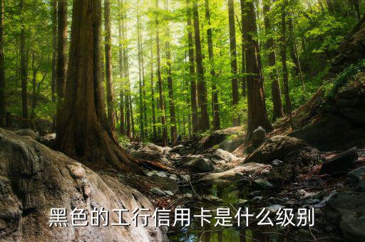 工商銀行的黑卡有什么權(quán)限，工行是不是出了一款運通黑卡啊我想問的是想申請運通黑卡要在當(dāng)?shù)?/></a></span><span id=