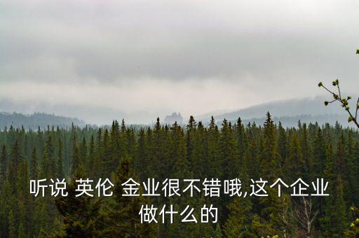 聽(tīng)說(shuō) 英倫 金業(yè)很不錯(cuò)哦,這個(gè)企業(yè)做什么的