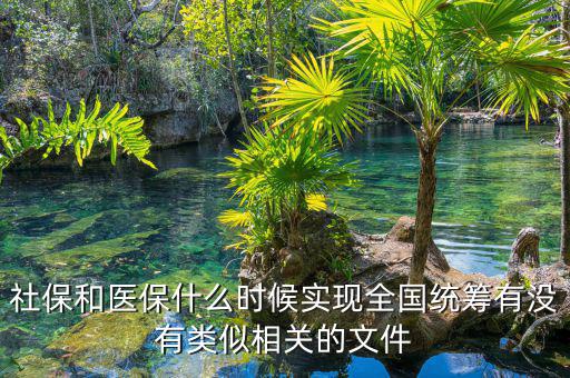 社保和醫(yī)保什么時候實現(xiàn)全國統(tǒng)籌有沒有類似相關的文件