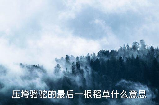 壓垮駱駝的最后一根稻草什么意思，壓死駱駝的最后一根稻草意味著什么