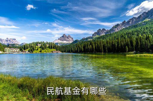 飛機票還有什么民航基金，民航基金有哪些
