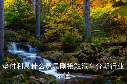 墊付利息是什么意思，紅利保險會自動墊付期間會出利息