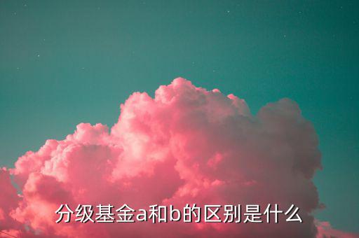 什么是a份額，分級(jí)基金A份額是什么意思