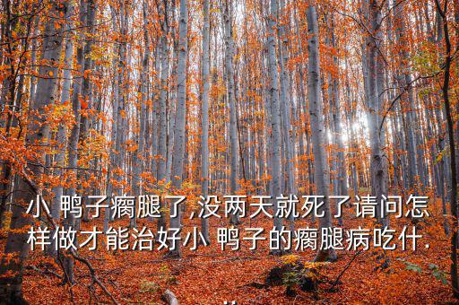小 鴨子瘸腿了,沒兩天就死了請問怎樣做才能治好小 鴨子的瘸腿病吃什...