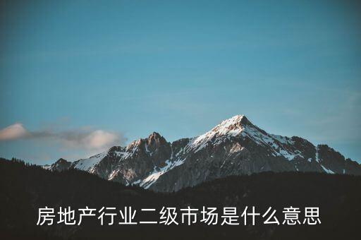 什么是二級(jí)行業(yè)，會(huì)計(jì)中所說的一級(jí)二級(jí)市場(chǎng)是指什么
