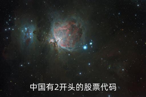 中國(guó)有2開(kāi)頭的股票代碼