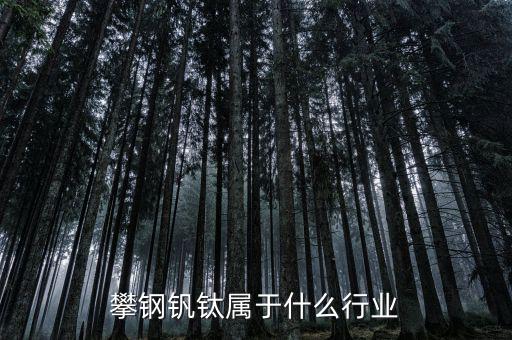 釩鈦產業(yè)屬于什么行業(yè)，攀鋼釩鈦屬于什么行業(yè)