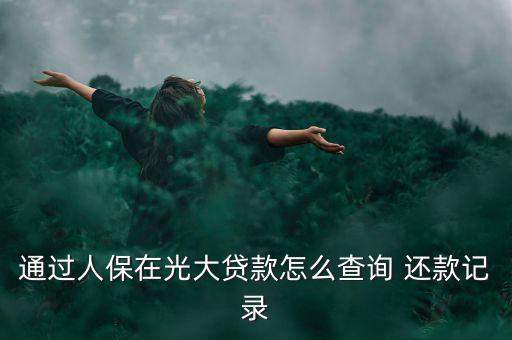 通過(guò)人保在光大貸款怎么查詢 還款記錄
