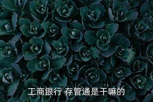 工商銀行 存管通是干嘛的