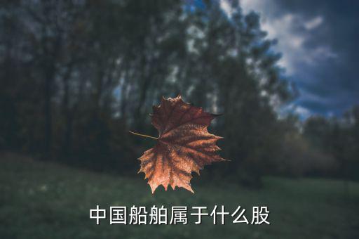 中國(guó)船舶是什么板塊，中國(guó)船舶原始股每股多少人民幣