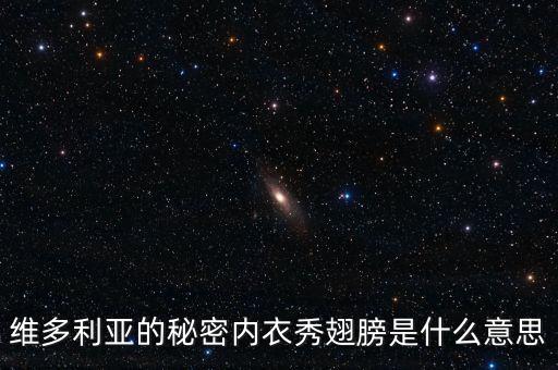 維多利亞的秘密內衣秀翅膀是什么意思