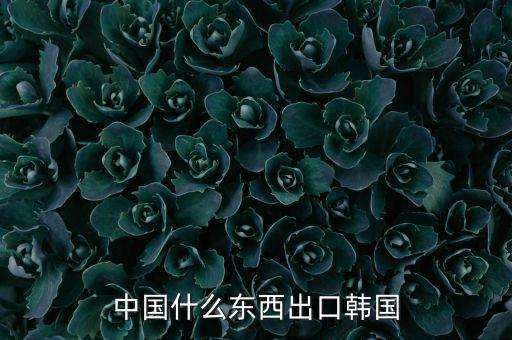 中國向韓國出口什么，中國都向韓國出口哪些呢