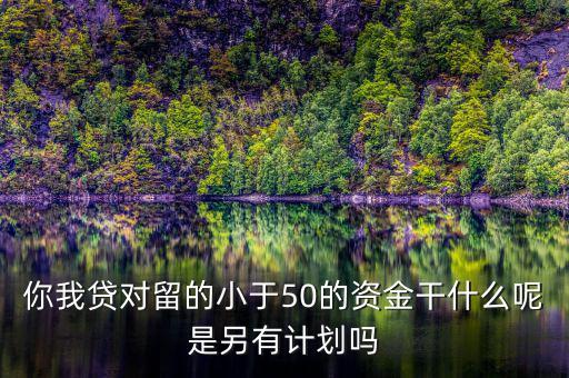 你我貸為什么我要投2萬才能減50，你我貸對留的小于50的資金干什么呢是另有計劃嗎