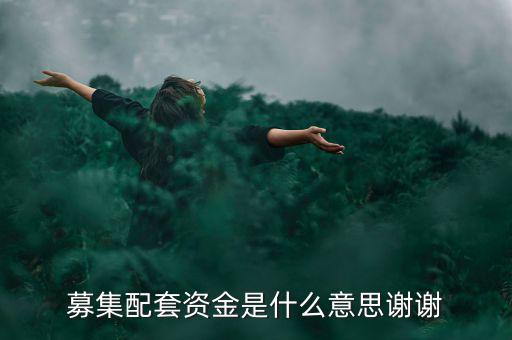 配股募資是什么意思，配股是什么意思啊