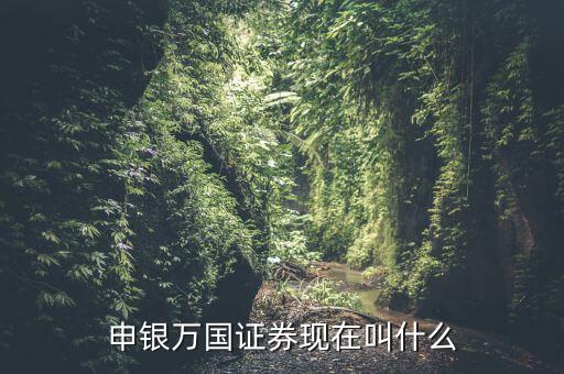 申銀萬(wàn)國(guó)并什么證券公司了，申銀萬(wàn)國(guó)證券現(xiàn)在叫什么