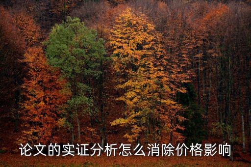 論文的實(shí)證分析怎么消除價格影響