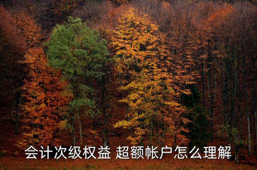 會(huì)計(jì)次級(jí)權(quán)益 超額帳戶(hù)怎么理解