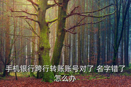 外匯名字不對(duì)怎么處理,如何在網(wǎng)上購物和理財(cái)?