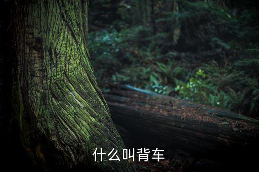 汽車背上叫什么來的，艙背車為何物