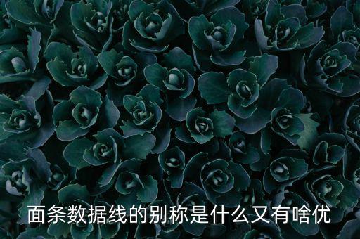 skewrons是什么牌子，skewrons是什么意思