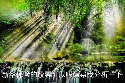 新華保險(xiǎn)為什么股票漲這么多，新華保險(xiǎn)的股票可以嗎請(qǐng)幫我分析一下