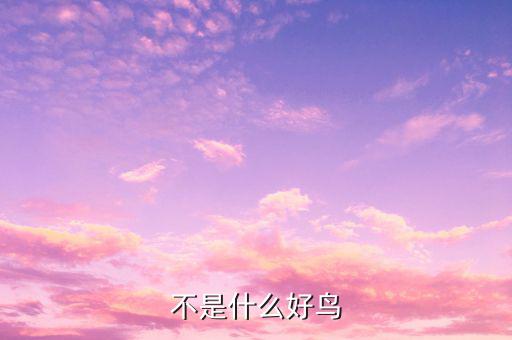 孟兵不是什么好鳥(niǎo)，不是什么好鳥(niǎo)