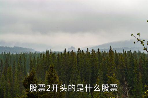 股票2開(kāi)頭的是什么股票