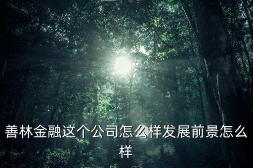 善林公司經(jīng)營(yíng)什么，善林金融這個(gè)公司怎么樣發(fā)展前景怎么樣