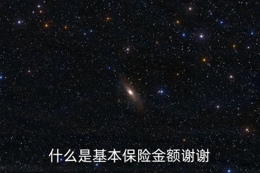 什么叫基本保險金額，基本保險金額是什么意思