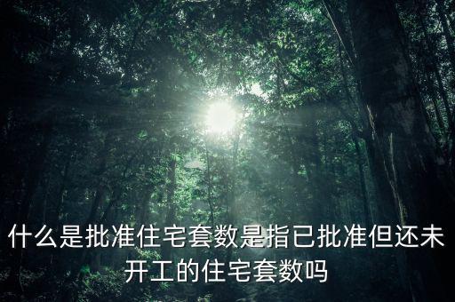 什么是批準(zhǔn)住宅套數(shù)是指已批準(zhǔn)但還未開(kāi)工的住宅套數(shù)嗎