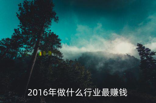 2016賺錢(qián)的行業(yè)是什么，2016年做什么行業(yè)最賺錢(qián)
