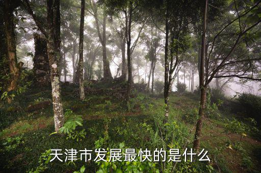 天津靠什么發(fā)展，天津市發(fā)展最快的是什么