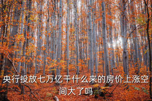 央行投放七萬億干什么來的房價(jià)上漲空間大了嗎