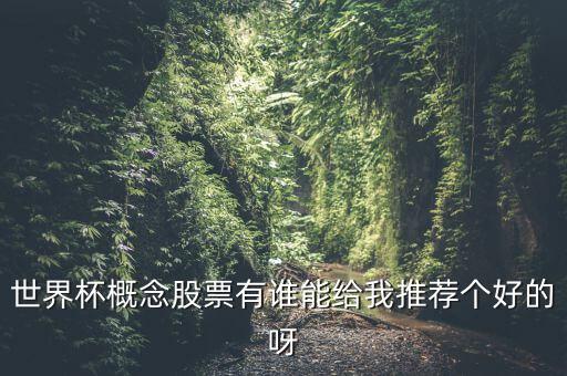 世界杯什么股票好，世界杯概念股票有誰能給我推薦個好的呀