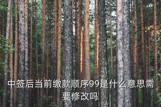 繳款順序99是什么意思，99是什么意思