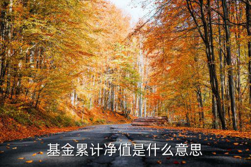基金累計(jì)凈值是什么意思，基金凈值累計(jì)凈值各指什么