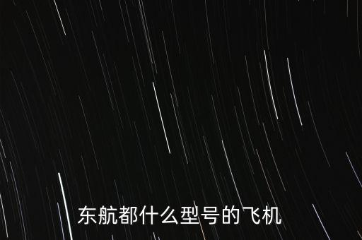 東航都是什么牌子的飛機，東航機型330是什么飛機